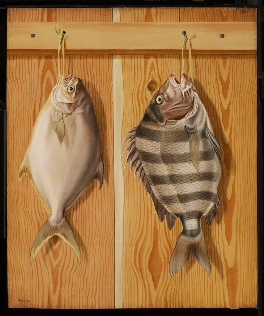 Dollarfish and Sheepshead