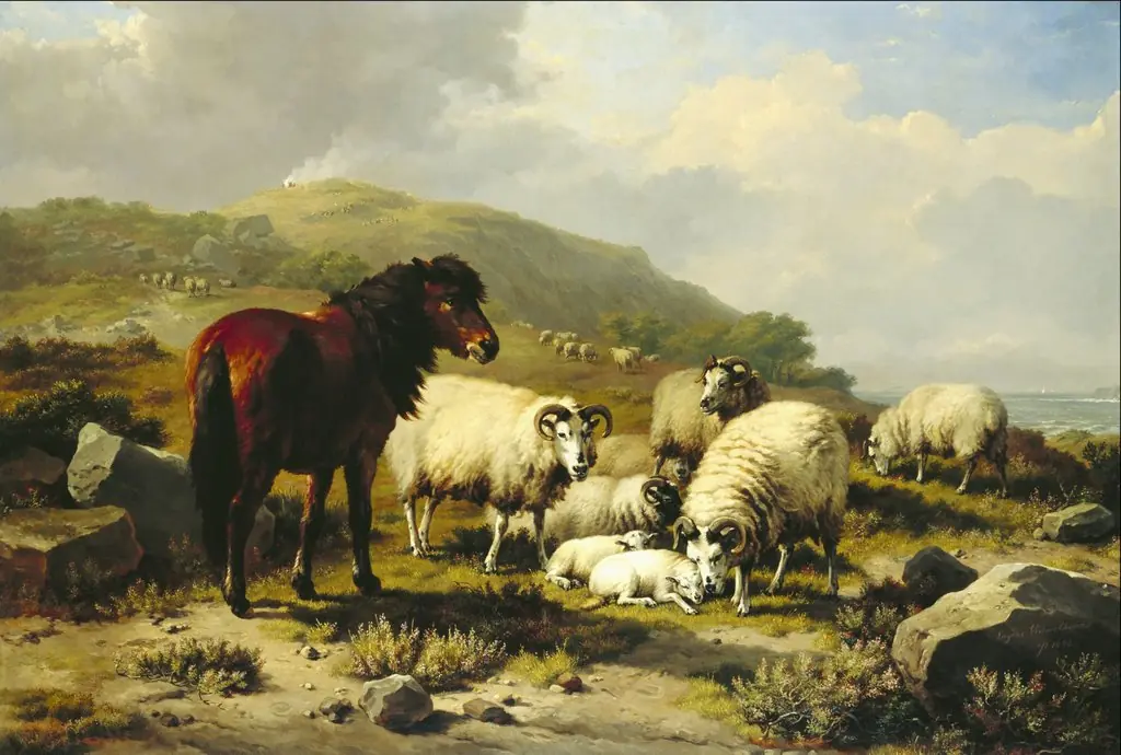 Landscape with Sheep
