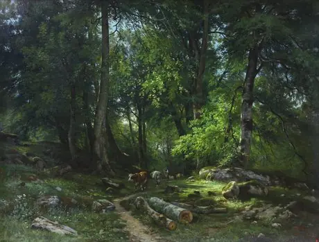 In the Forest