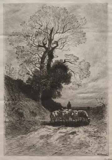 Return of the flock