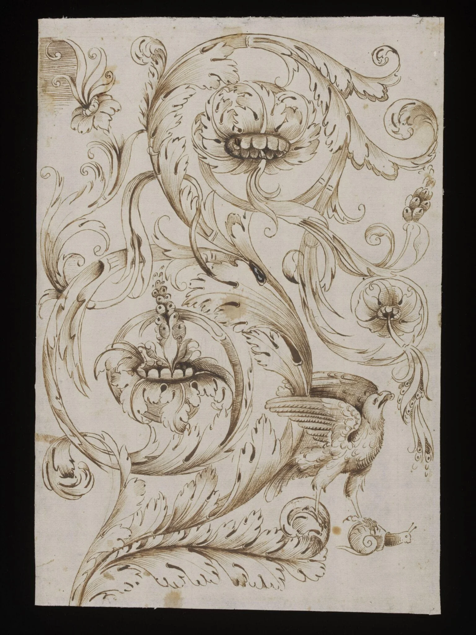 Decorative acanthus scrollwork with bird of prey and snail, by Unknown, 1550