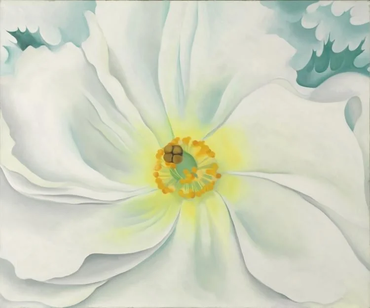 White Flower, by Georgia O'Keeffe, unspecified, 1929