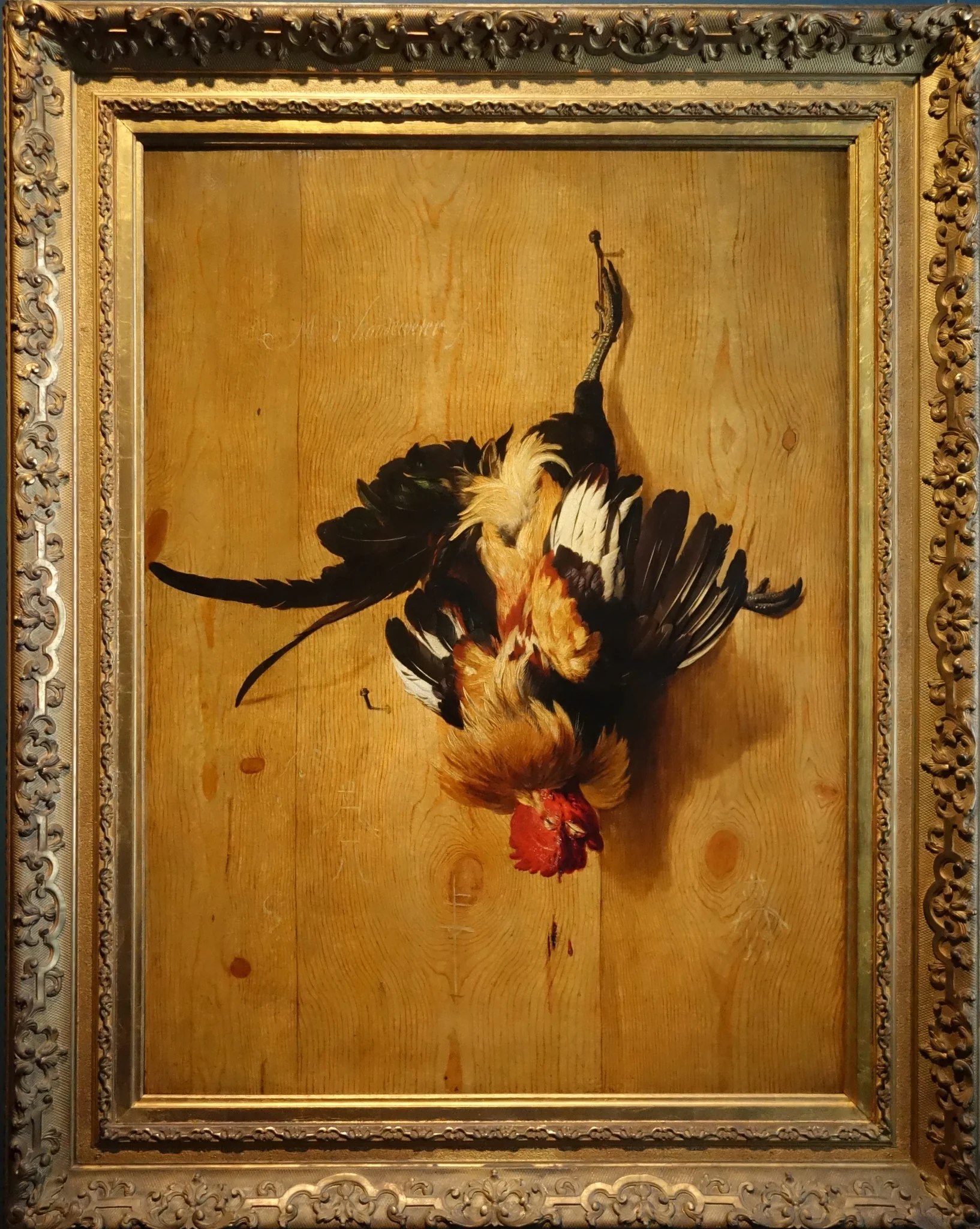 Dead rooster