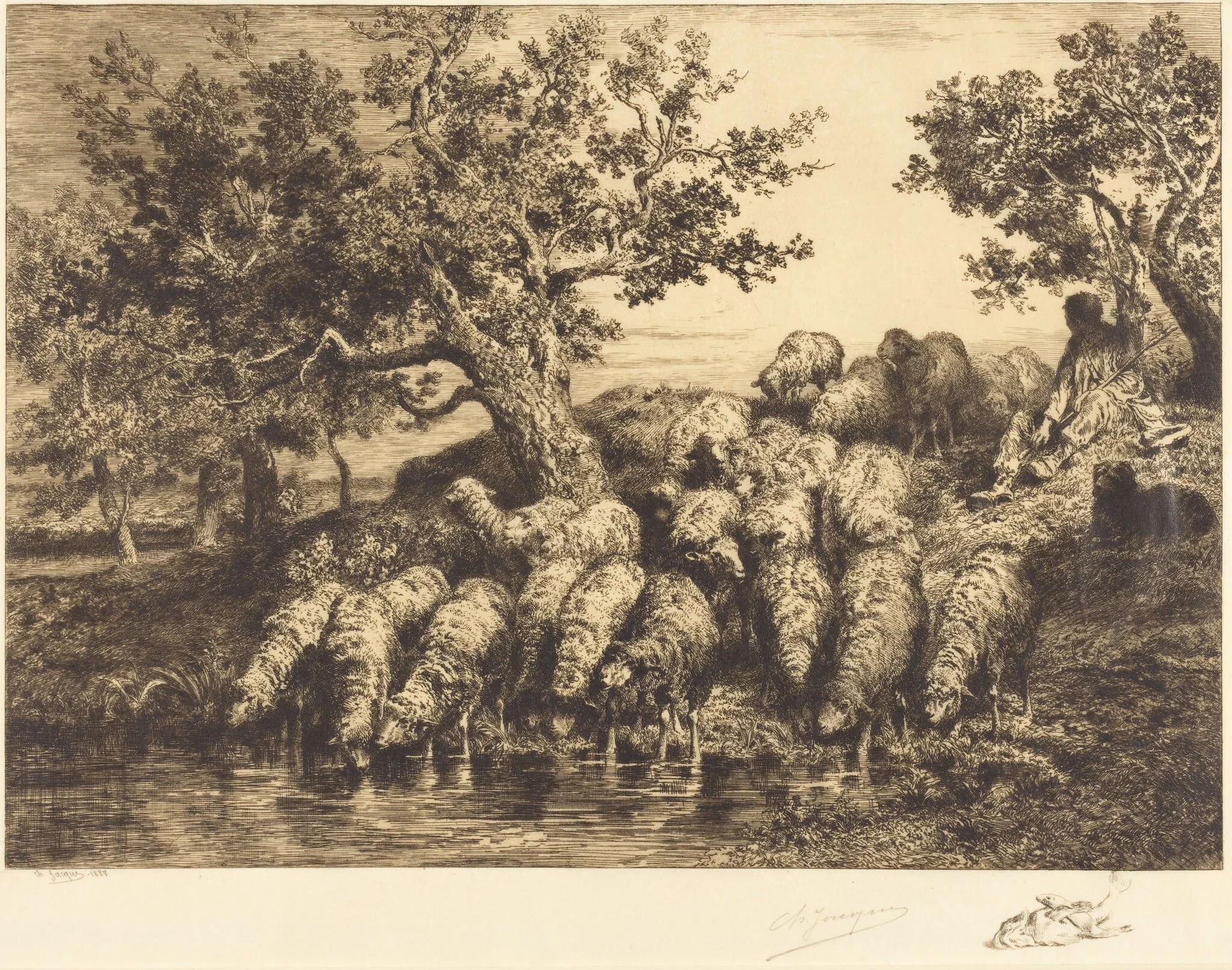Sheep at the Watering Place (Abreuvoir aux moutons), by Charles Émile Jacque, ink, 1888