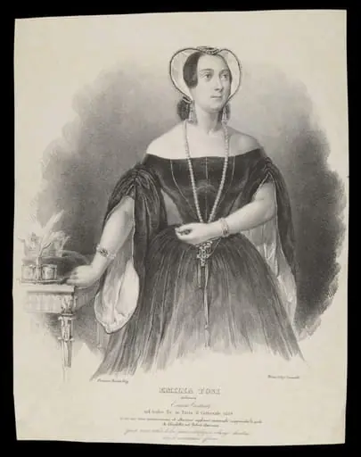 H Beard Print Collection
