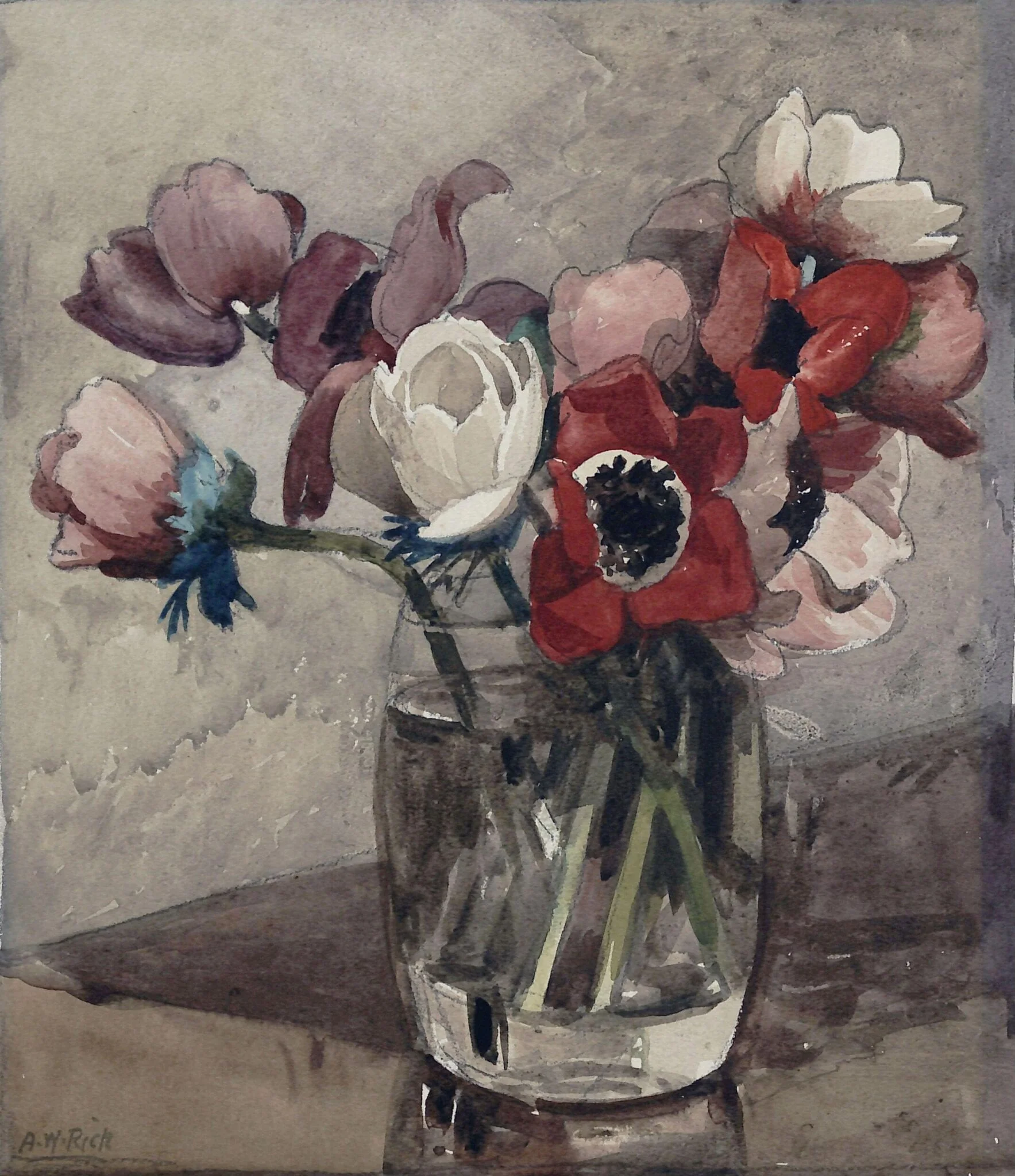 Anemones