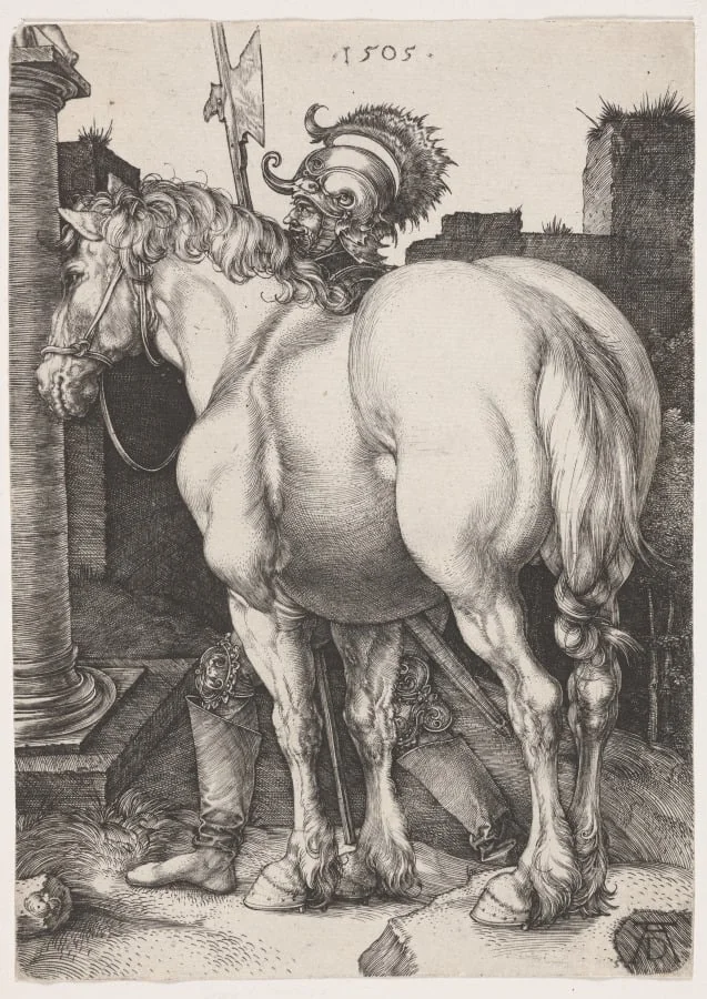 The Large Horse, by Albrecht Dürer, 1505