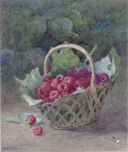 Raspberries