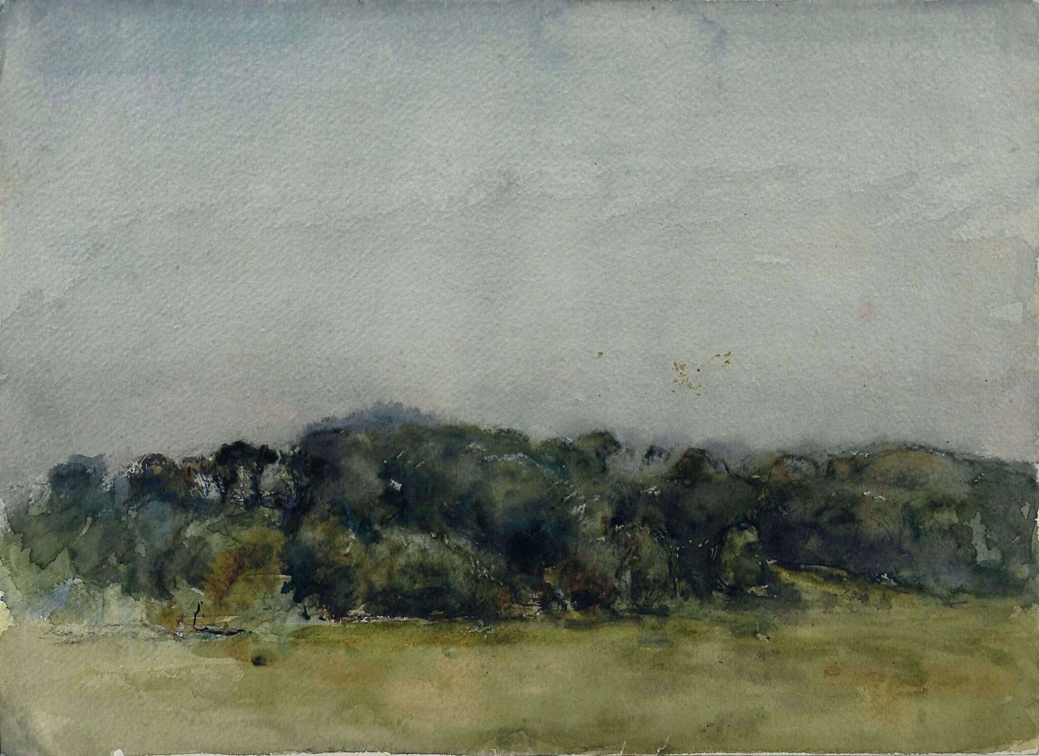 Landscape with bank of trees