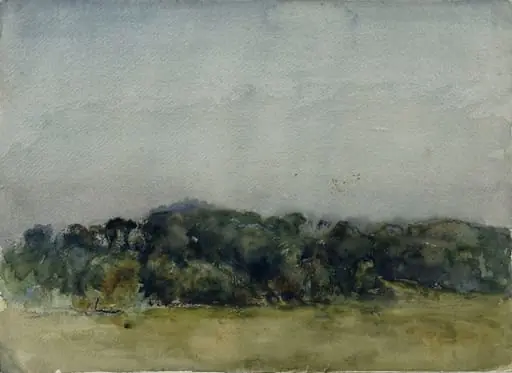 Landscape with bank of trees