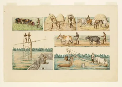 Six scenes of cultivation and irrigation