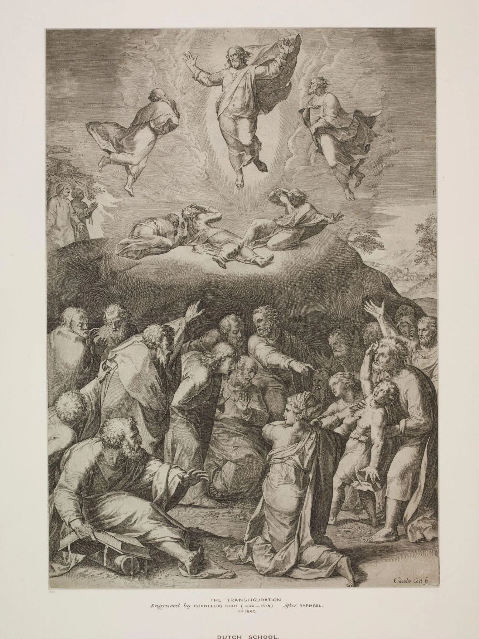 Transfiguration