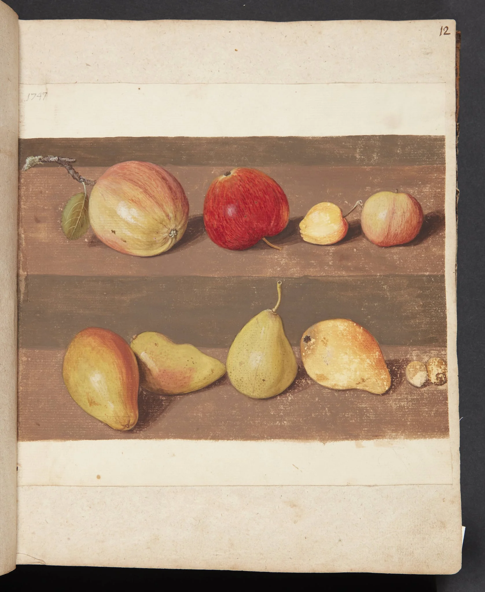 Studie af æbler og pærer, by Unknown, unspecified, 1747