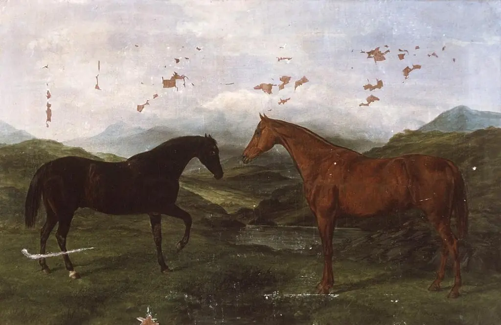 Two hunting horses in landscape