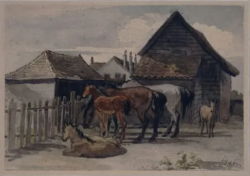 Horses and Foals