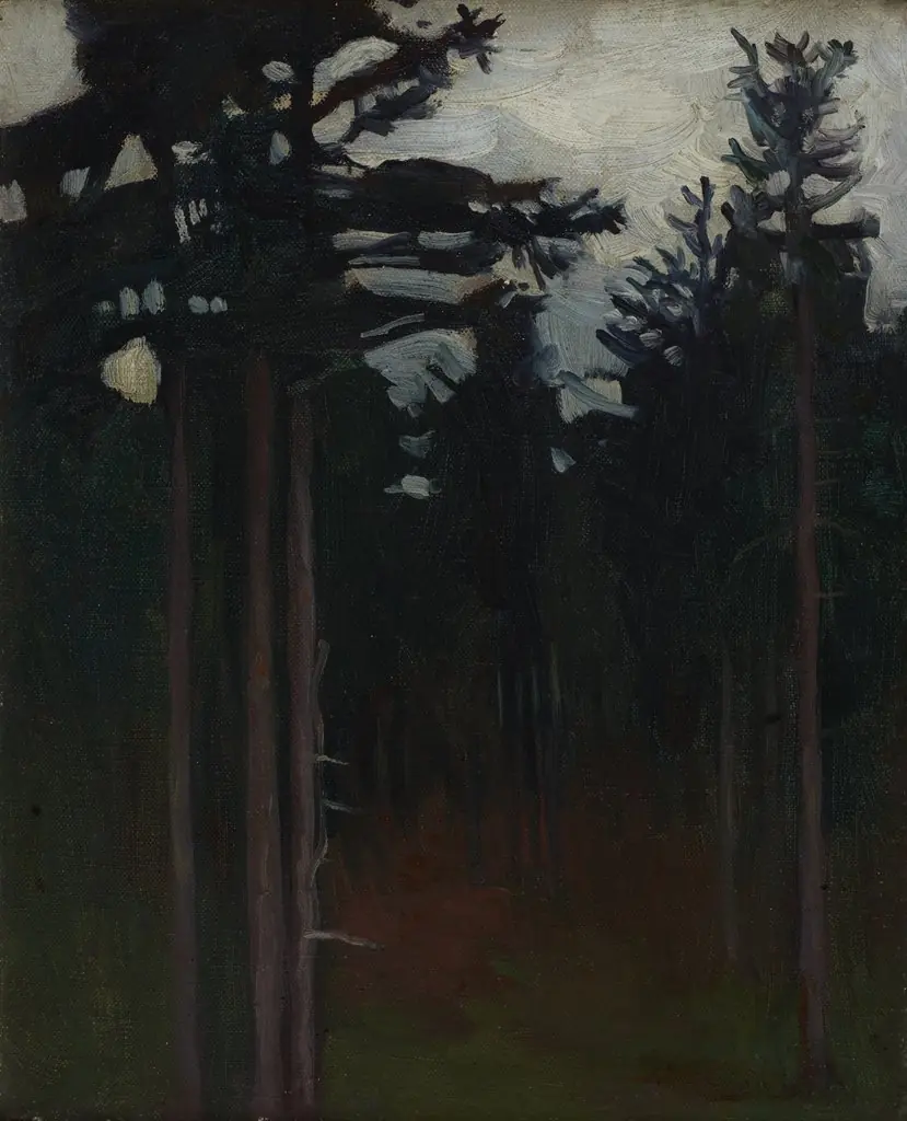 Inside the Forest