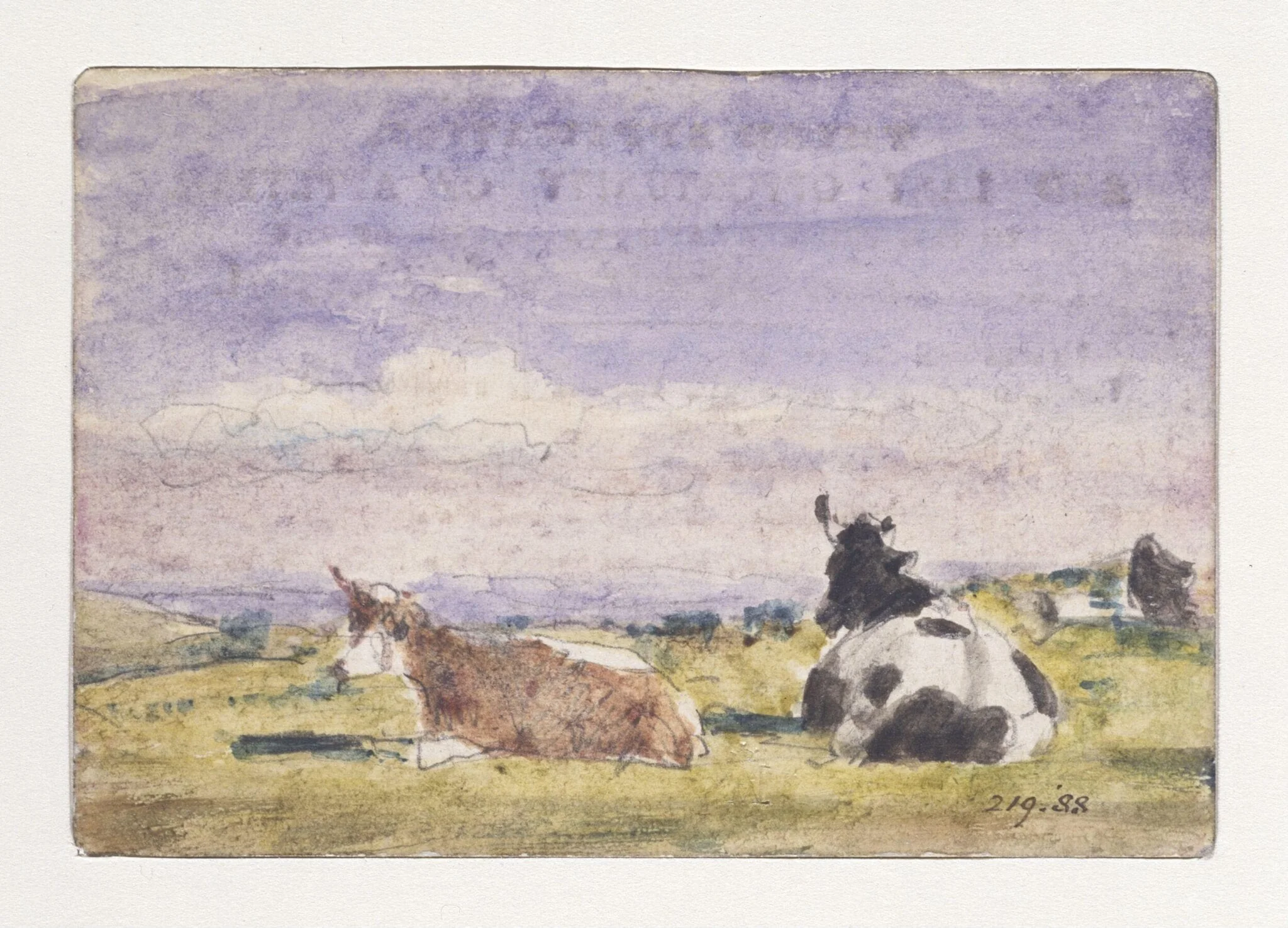 Study of cows at Hampstead