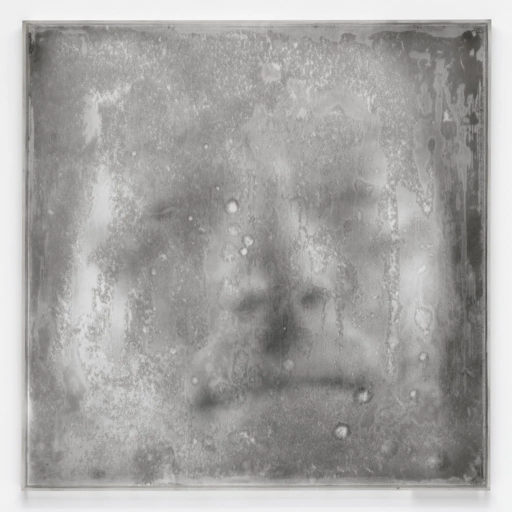 Untitled, by Oscar Muñoz, acrylic, 1996