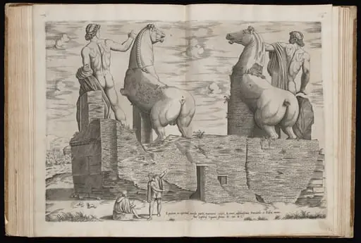 The Dioscuri [Dorsal View]