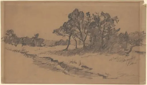 Trees in a Field