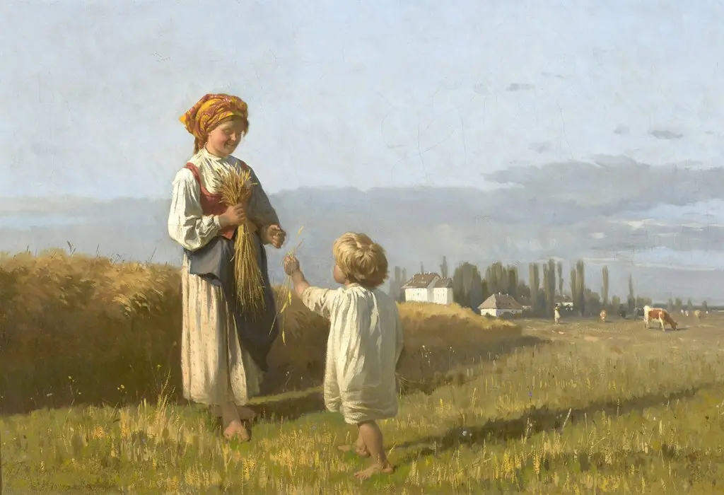 Gathering of grain ears