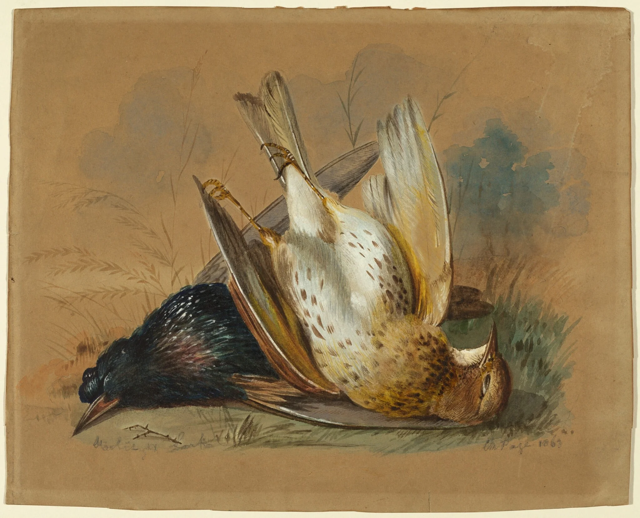 A Starling and a Lark, by William Page, watercolor, 1863