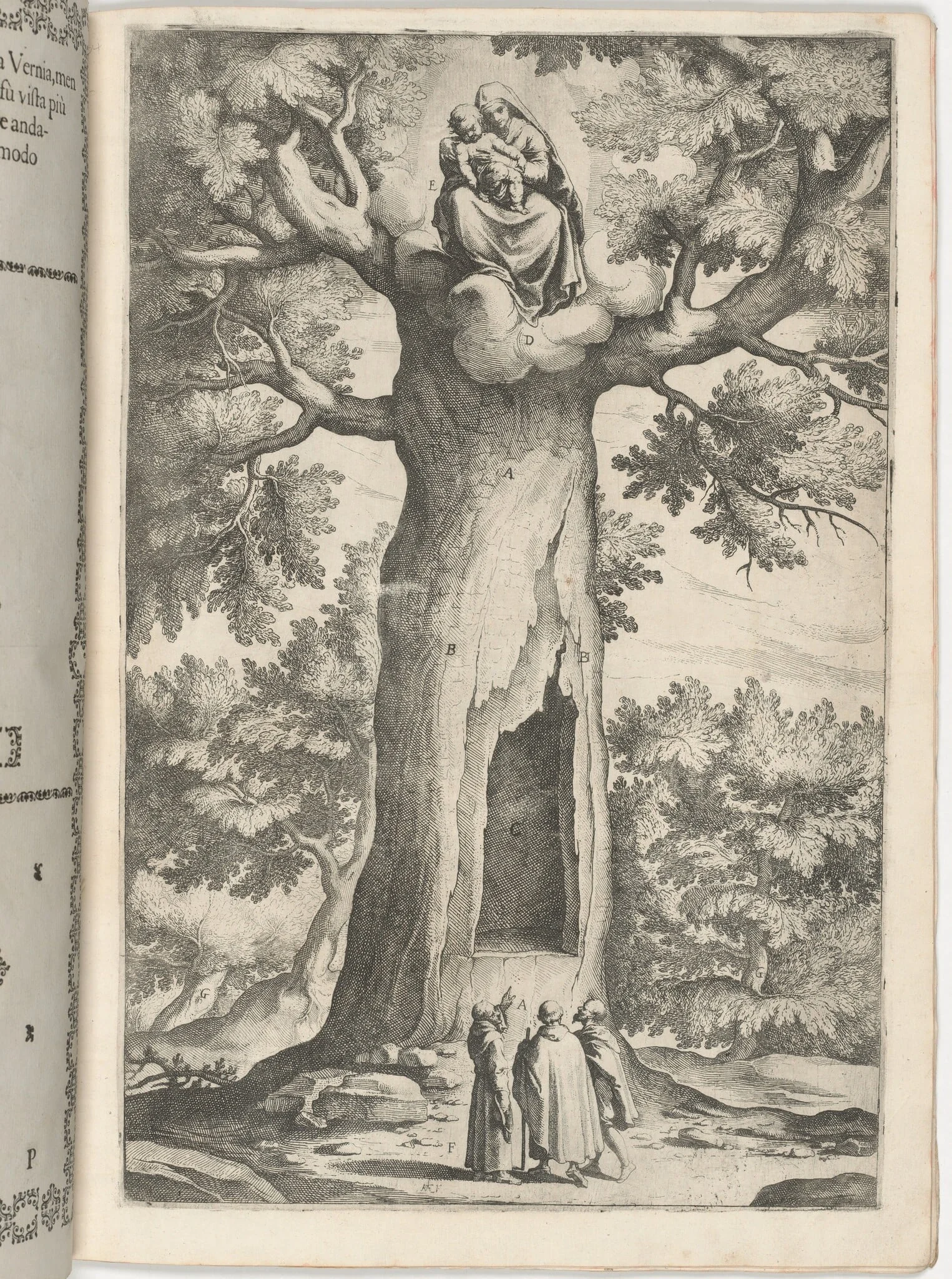 Apparition of the Virgin in the Beech Tree (Faggio dell'apparizione della Vergine) [plate P], by Jacopo Ligozzi, ink, 1612