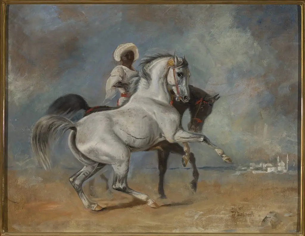 Black man with horses