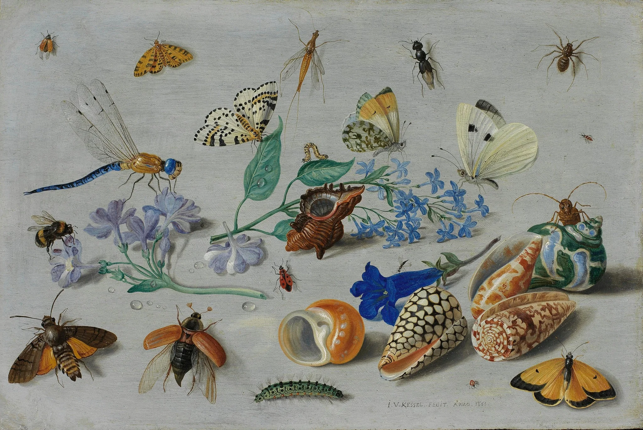 Butterflies and other insects