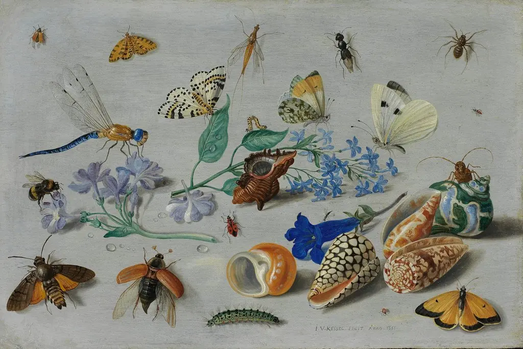 Butterflies and other insects