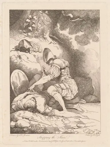 Stripping the Slain