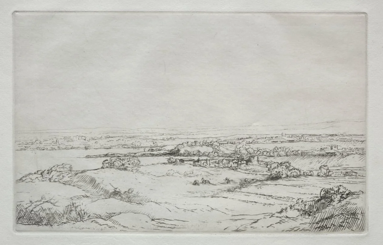 The Meadow near the Lake (La Plaine Près Du Lac), by Alphonse Legros, 1884