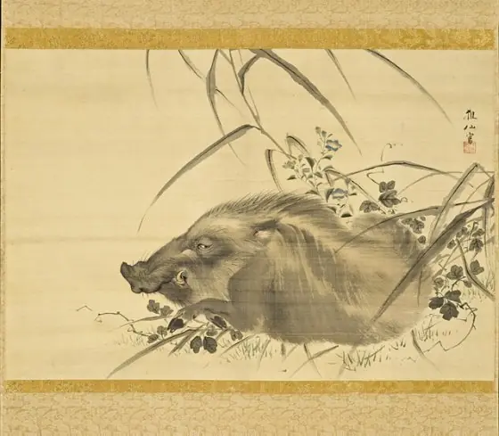 Wild Boar amidst Autumn Flowers and Grasses