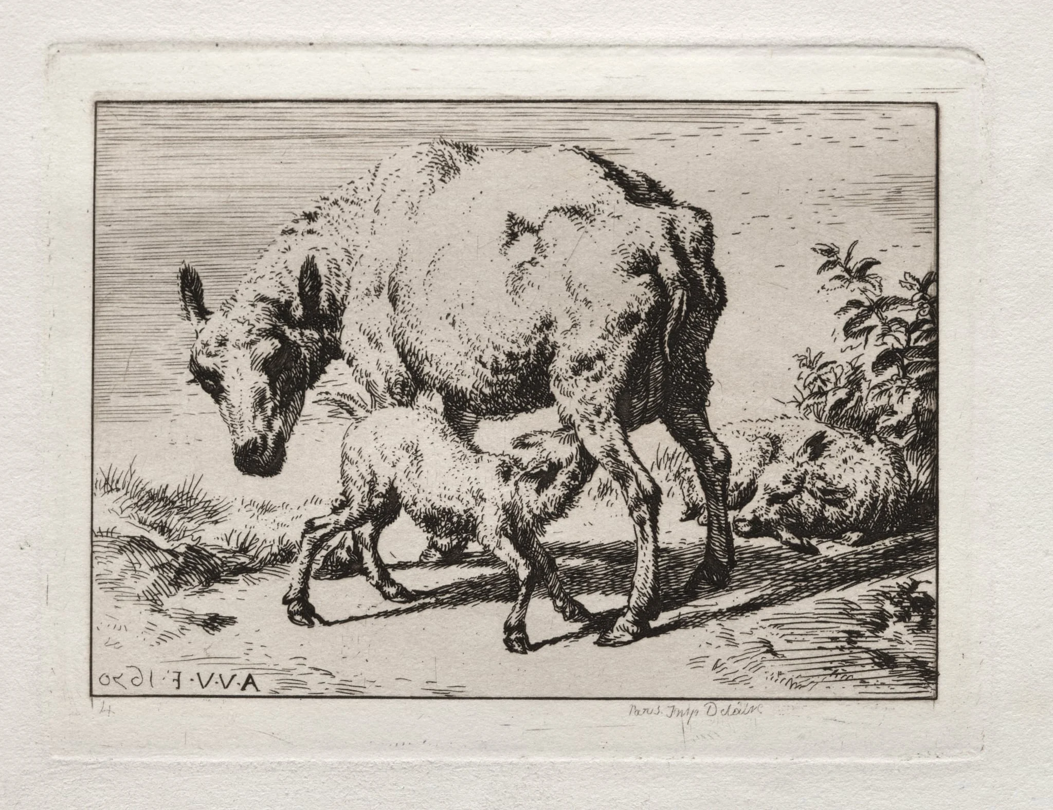 The Ewe with Two Lambs, by Charles Meryon, 1850