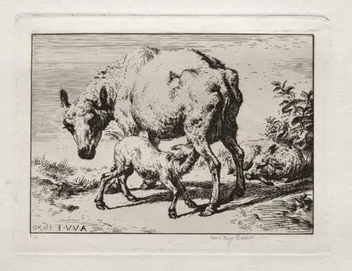 The Ewe with Two Lambs