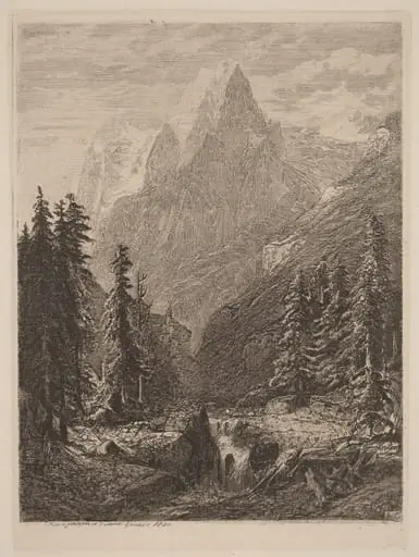 Mountain Meadow