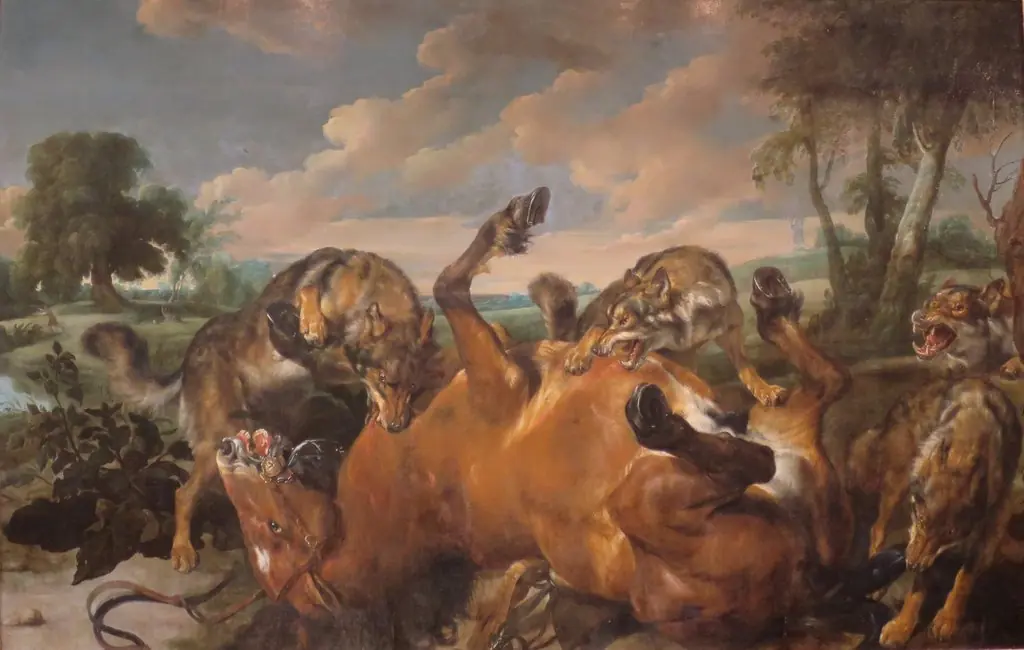 Wolves Attacked the Horse