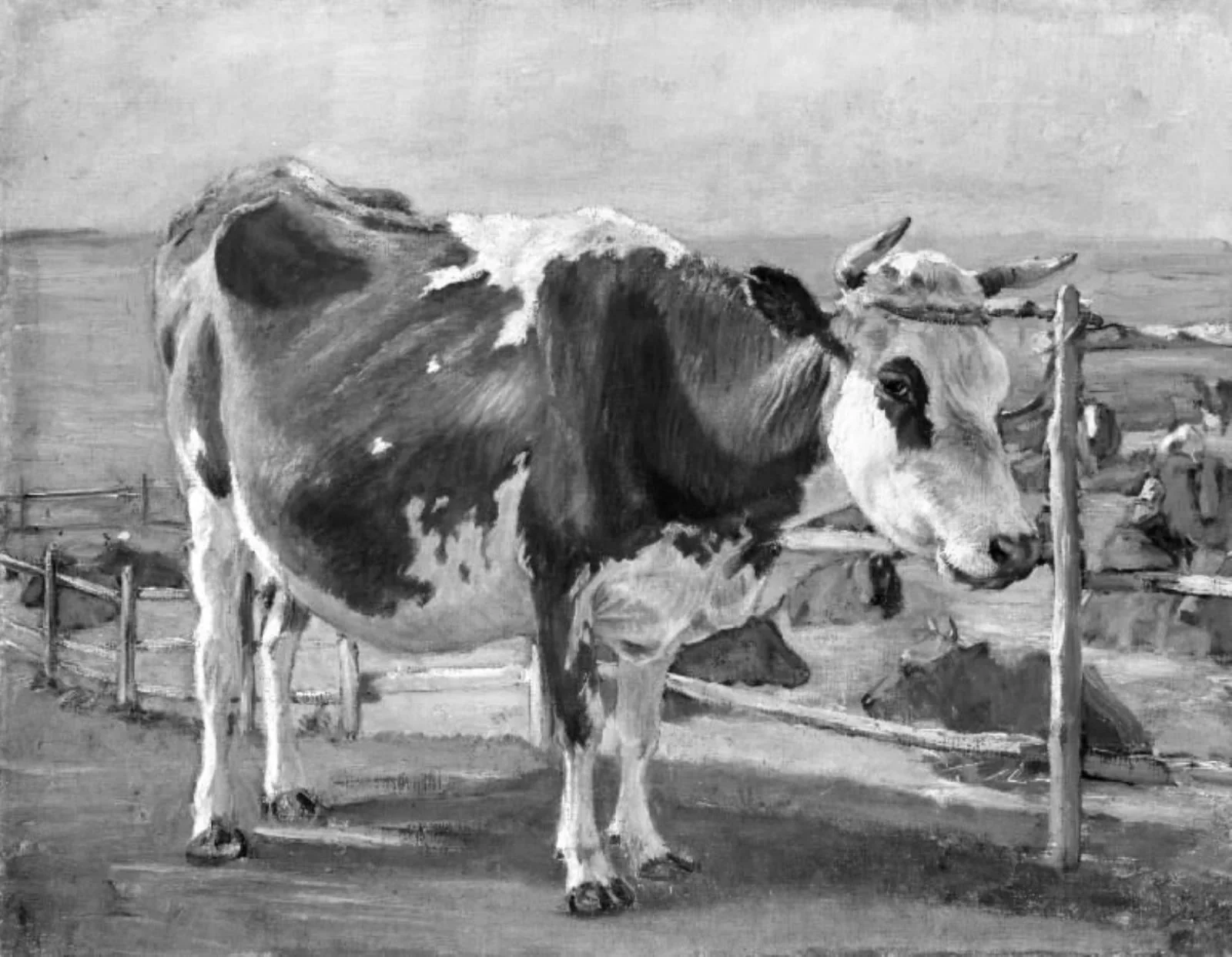 Stående rødbroget ko, by Unknown, 1872