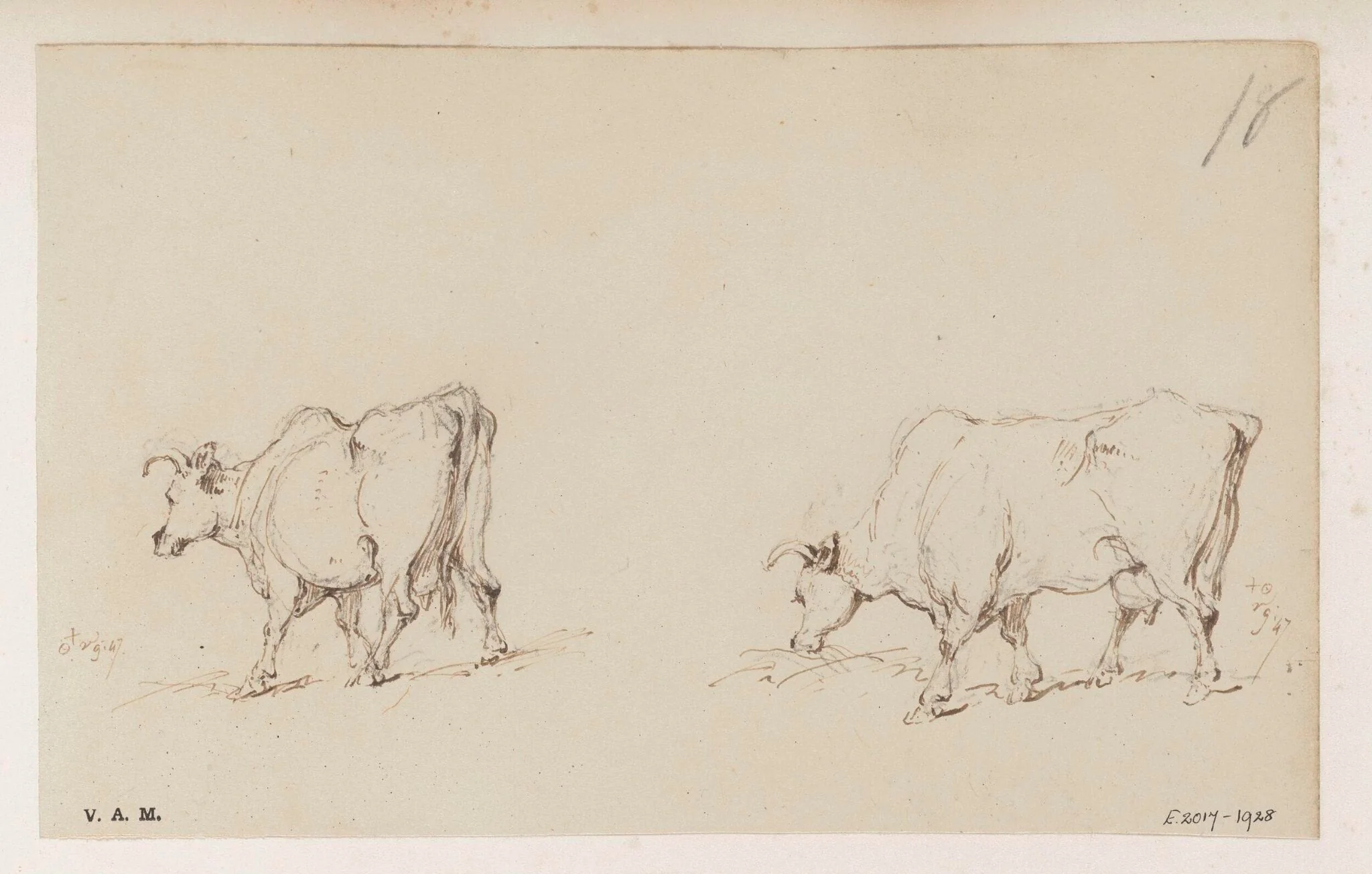 Two drawings of a cow, by George Chinnery, 6