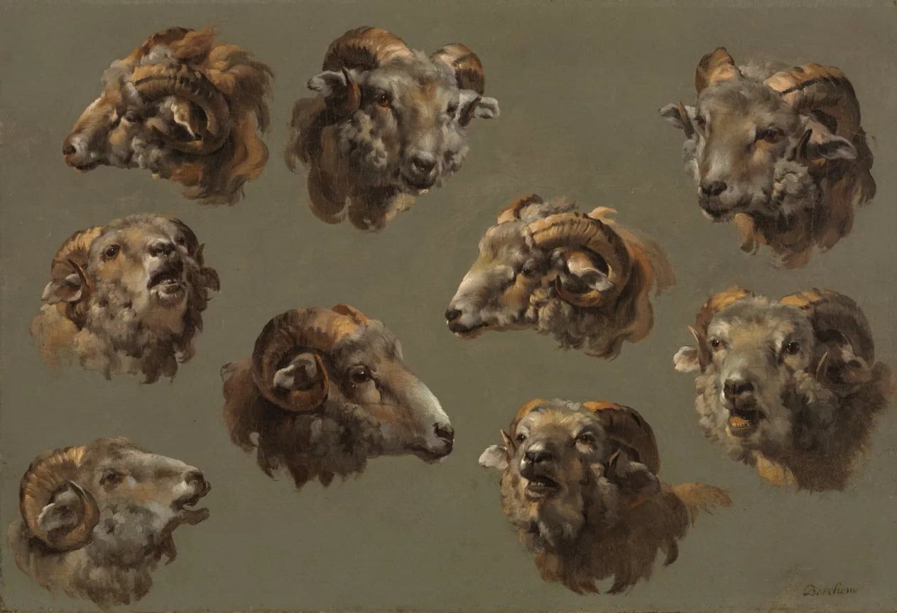Studies of Ram Heads, by Unknown, unspecified, 1704