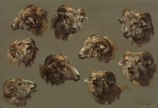 Studies of Ram Heads