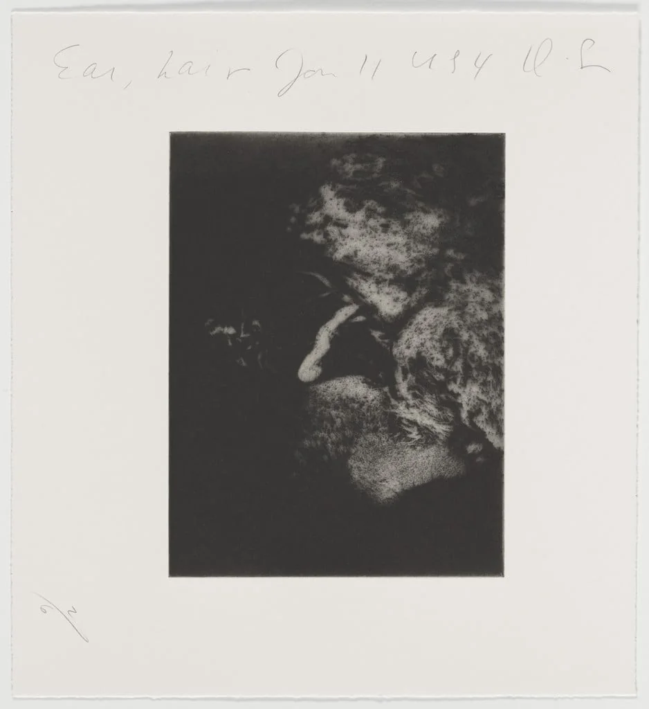 Untitled, by Donald Sultan, ink, 1994