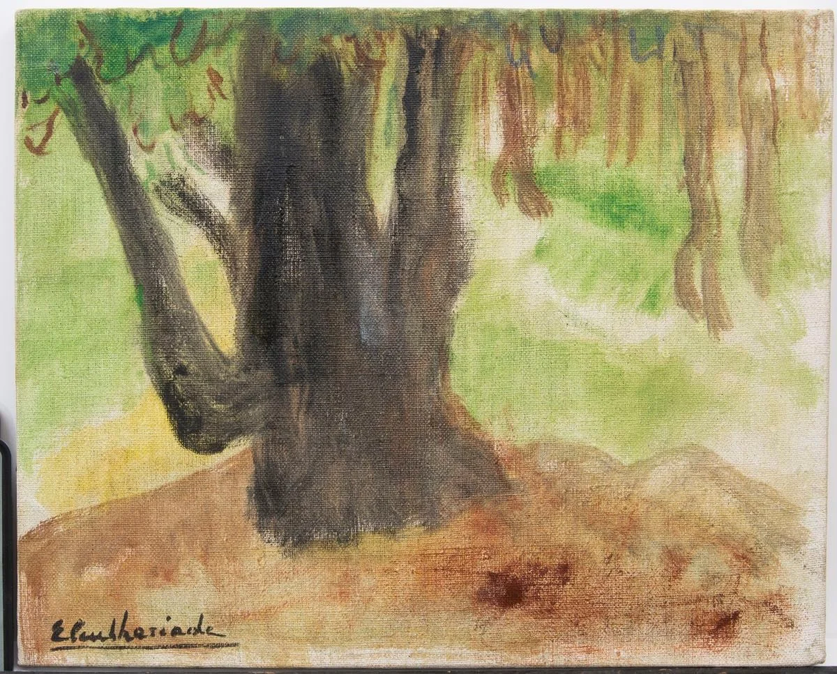 Magnolia uriașă, by Micaela Eleutheriade, unspecified, 1979