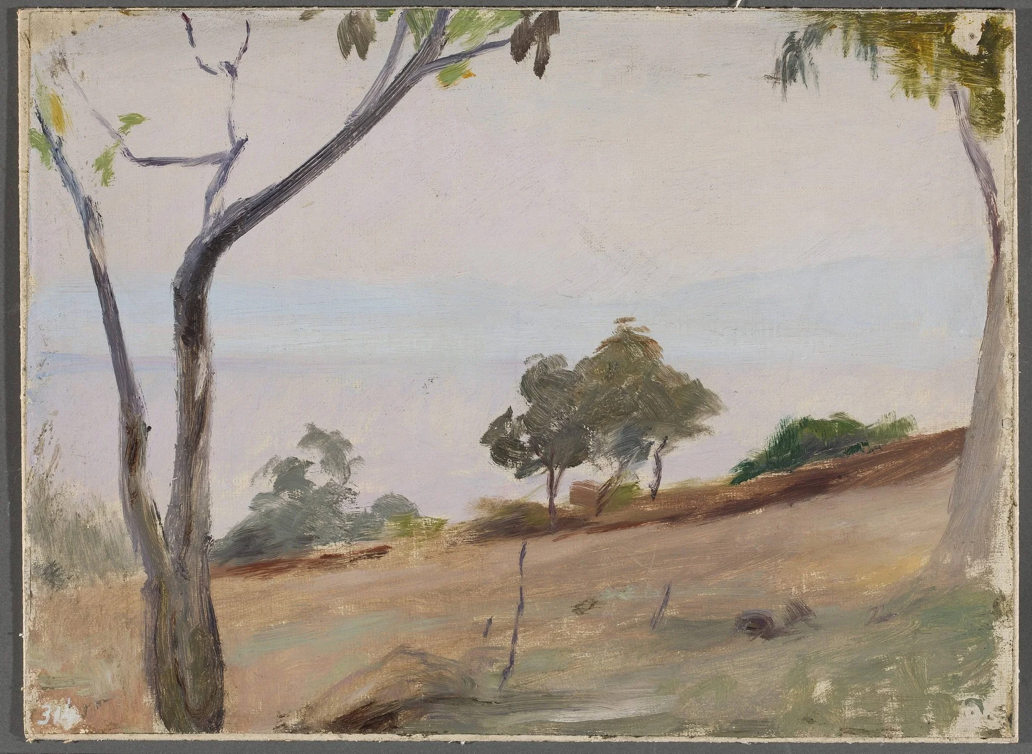 Landscape with trees. From the journey to Constantinople