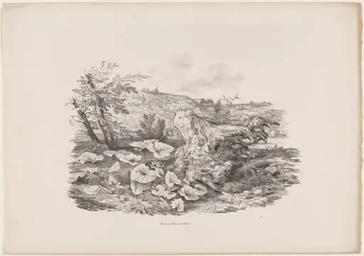 Landscape with a Tree Trunk