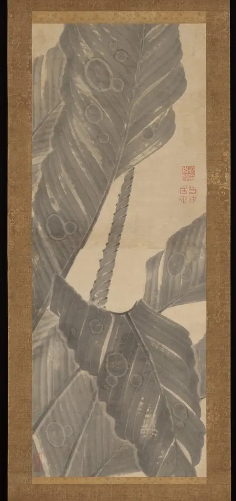Banana Leaves