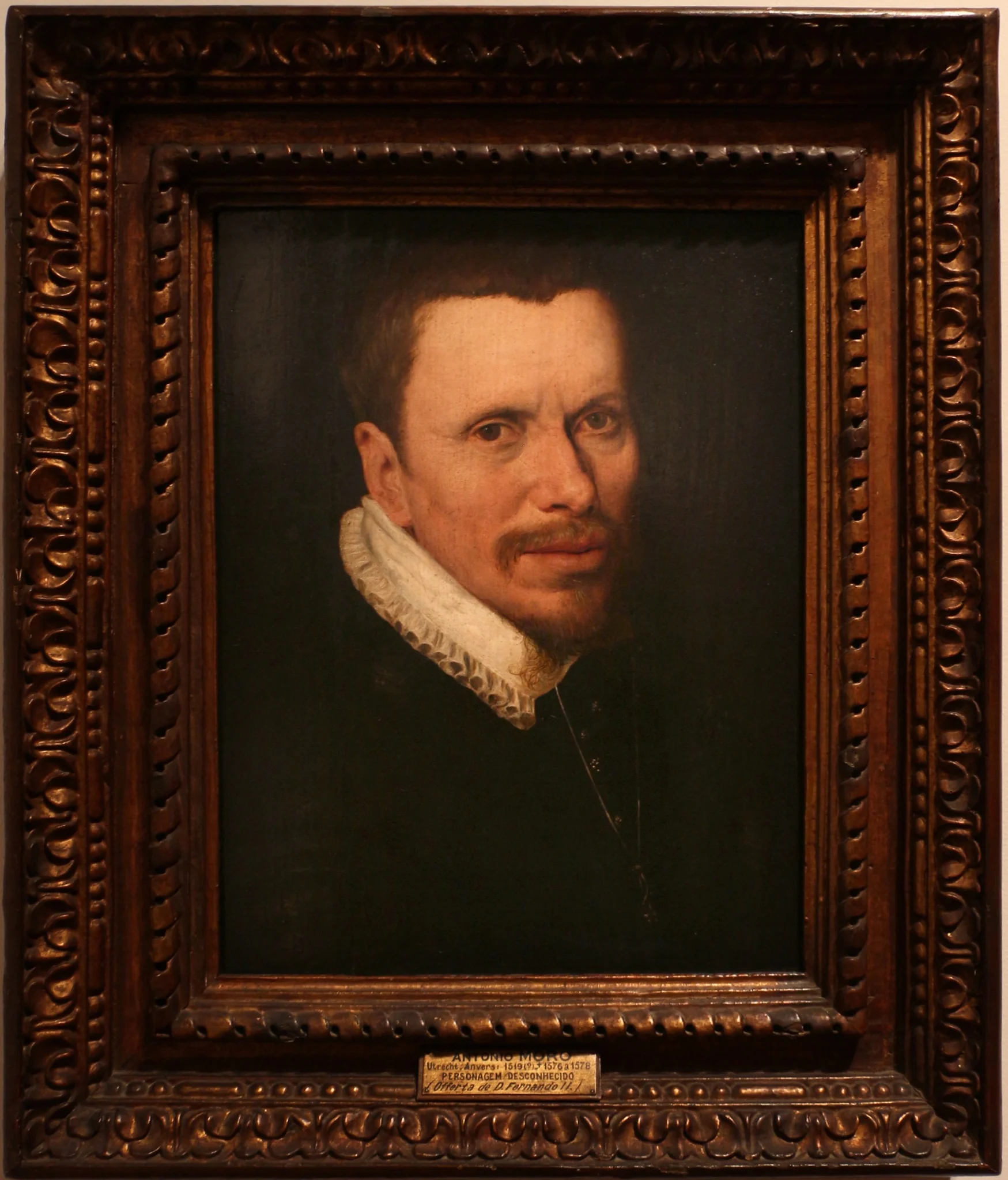 Male Portrait