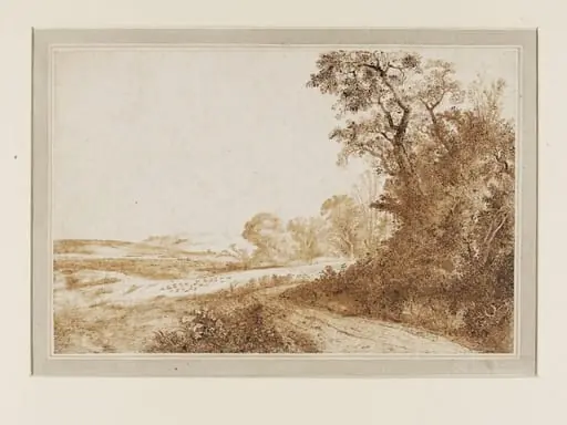 Road by woods and fields