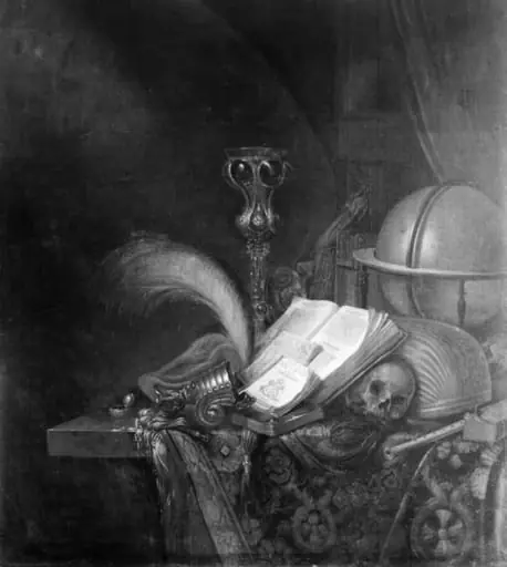Still Life with a Bird of Paradise and Other Things