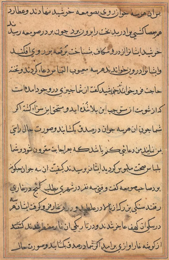 Page from Tales of a Parrot (Tuti-nama): text page